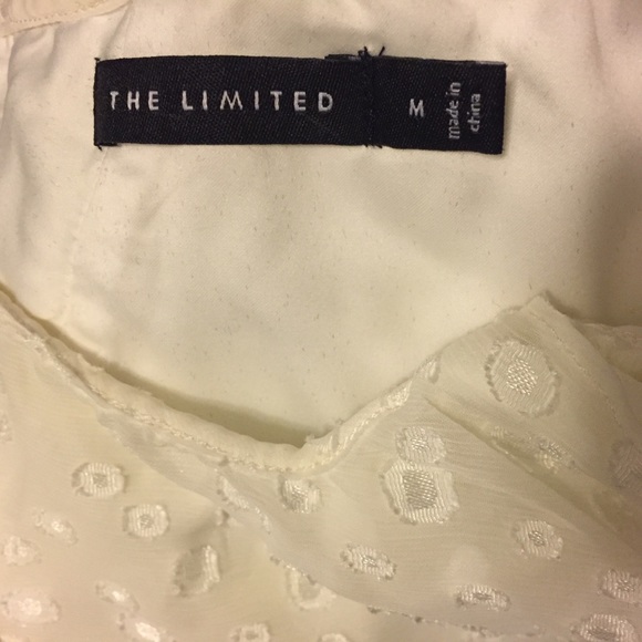 THE LIMITED Asymmetrical Double Ruffle Trim Blouse - Picture 5 of 5